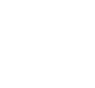 WE ARE THE TEAM.