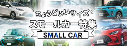 スモールカー特集