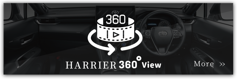 HARRIER 360°View