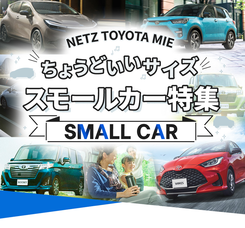ちょうどいいサイズ スモールカー特集